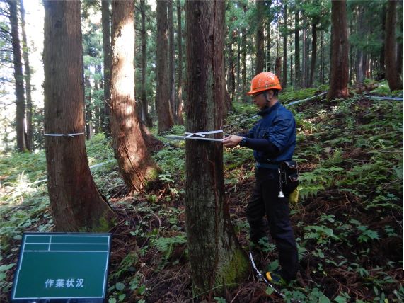 森林調査の様子